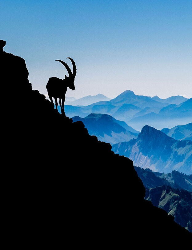 Pro Natura Schweiz